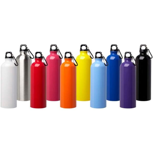 Trinkflasche Oregon 750 ml RCS-zertifizierte, einwandig aus Edelstahl mit Karabinerhaken