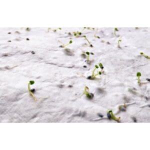 ASIDO - DIN A6 Wildblumen-Samenpapier
