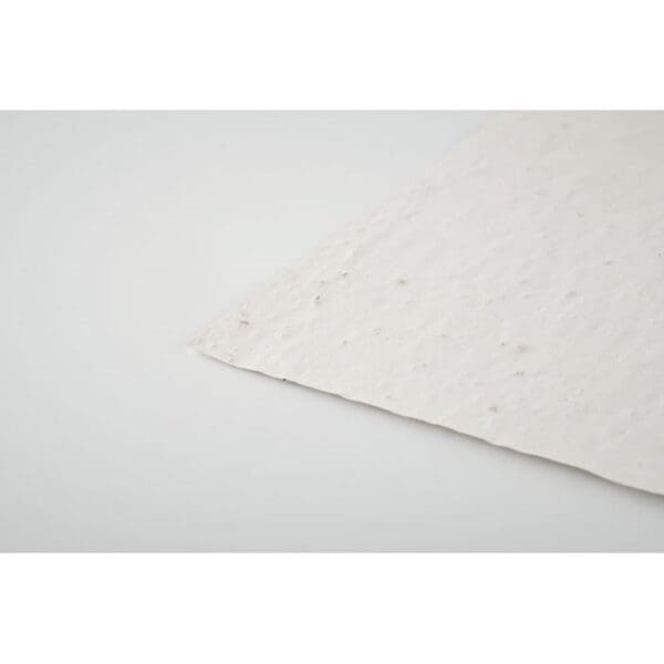 ASIDO - DIN A6 Wildblumen-Samenpapier