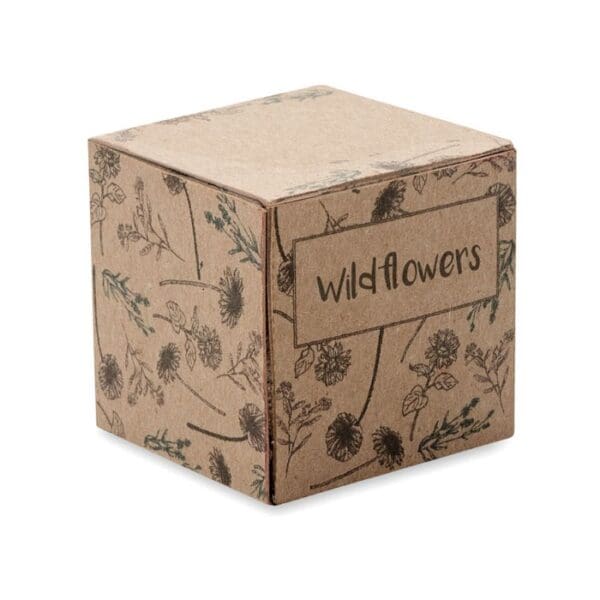 BOMBI - Saat-Set Wildblumen