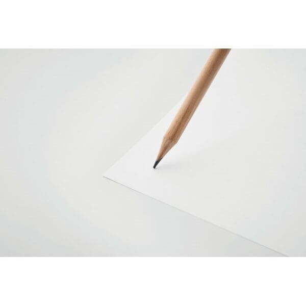 Bleistift PENSEED - in Einsteckhülle