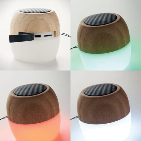 CLEVELAND - 5.0 Wireless Lautsprecher