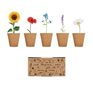 FLOWERS - Saat-Set Sommerblumen