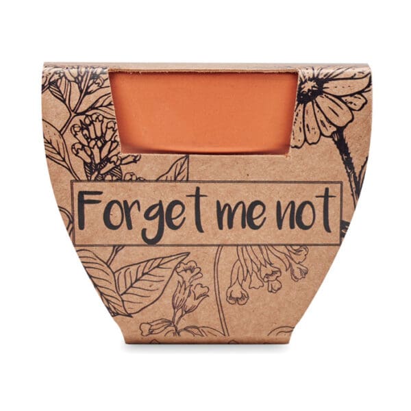 FORGET ME NOT - Terracotta-Topf Vergissmeinnich