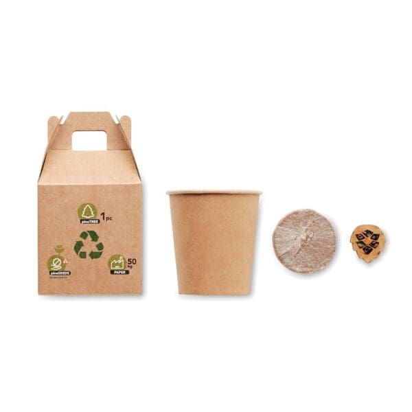 GROWTREE™ - Kiefernsamen-Set