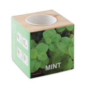 MENTA - Kräuterpflanz-Set "Minze''