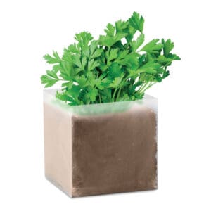 PARSELY - Pflanz-Set "Petersilie"