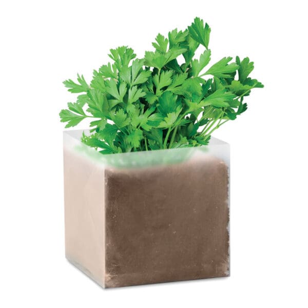 PARSELY - Pflanz-Set "Petersilie"