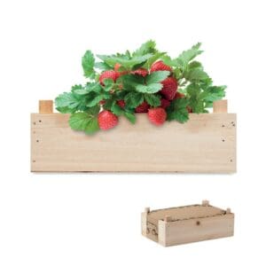 STRAWBERRY - Saat-Set Erdbeere