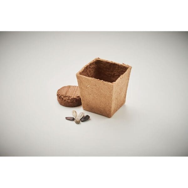 SUNFLOWER KIT - Pflanz-Set Sonnenblume
