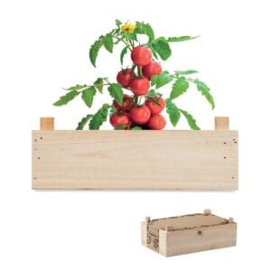 TOMATO - Saat-Set Tomate