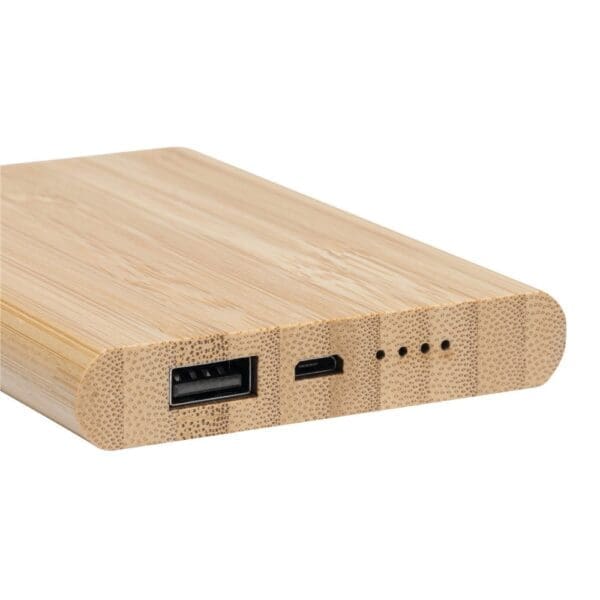 BAMBOO EVOLUTION