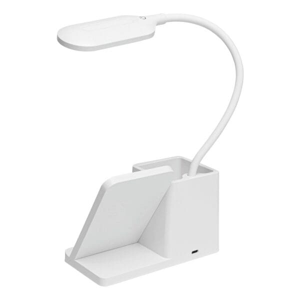 LIGHT & CHARGE