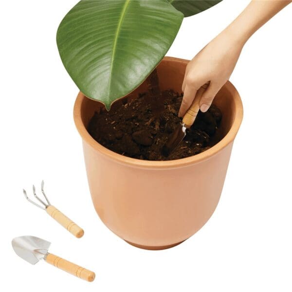 PLANT IT