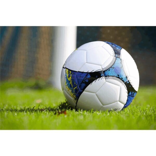 PROMOTION CUP