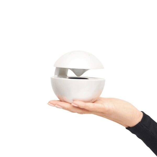 WONDER BALL MINI