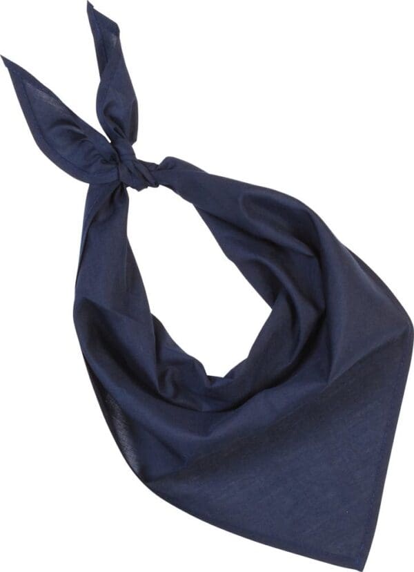 Bandana - Fiesta - KP064