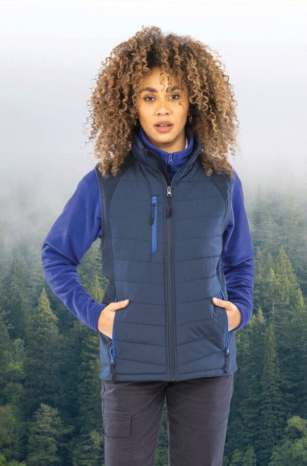 Black compass padded soft shell gilet R238X