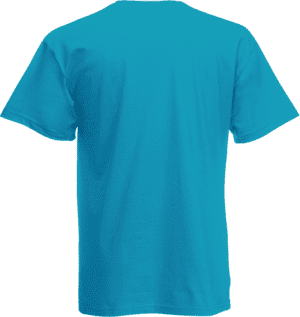 Original-T Men's T-shirt (61-082-0)