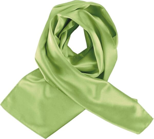 Satin HALSTUCH K861