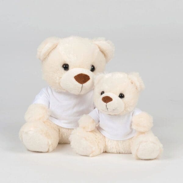 Teddybär mit T-Shirt