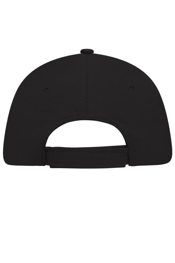 Cap 5 Panel Sandwich