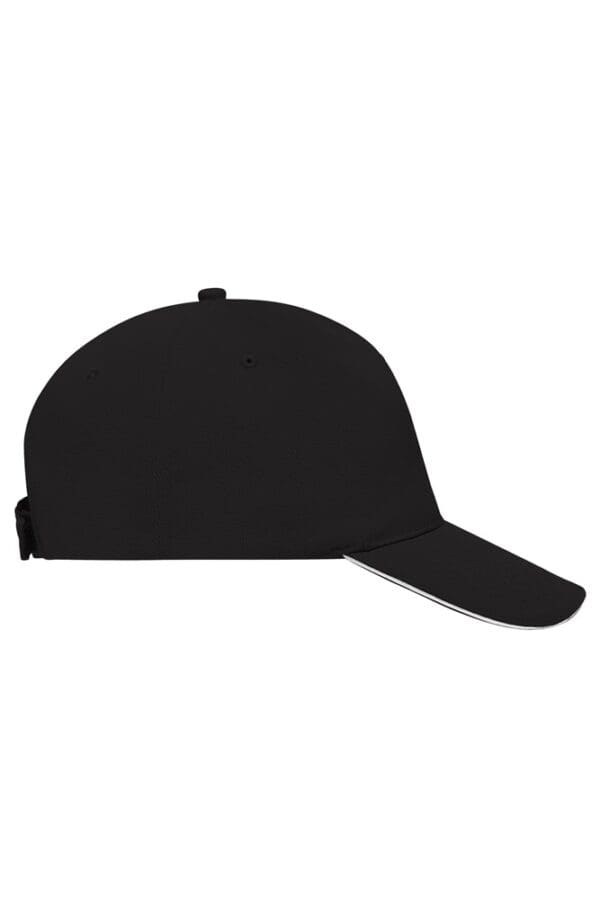 Cap 5 Panel Sandwich