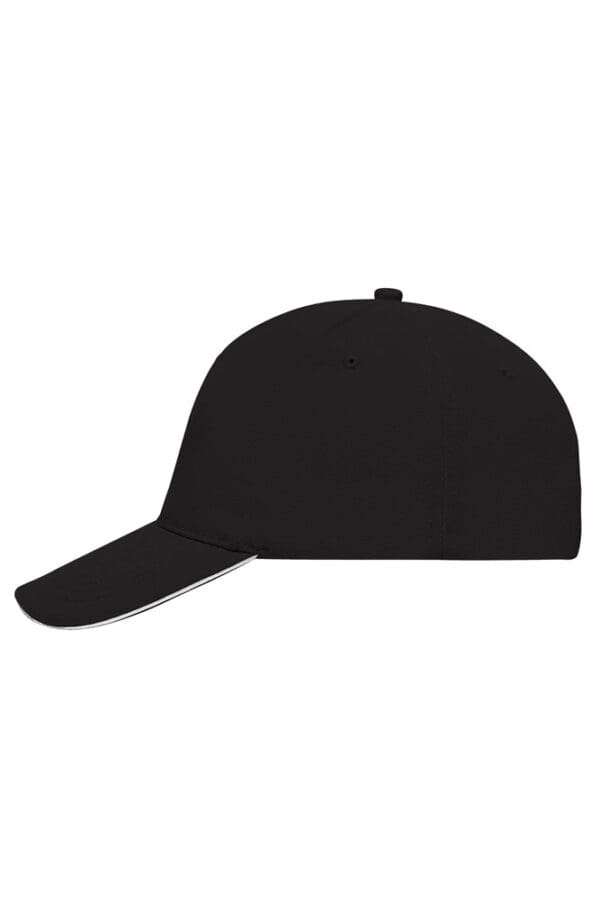 Cap 5 Panel Sandwich