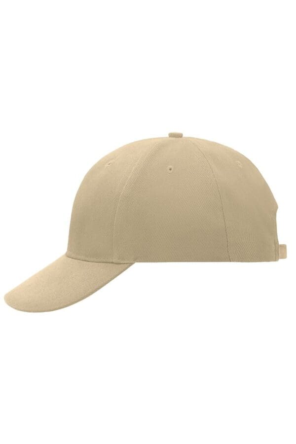 Cap 6 Panel Laminated