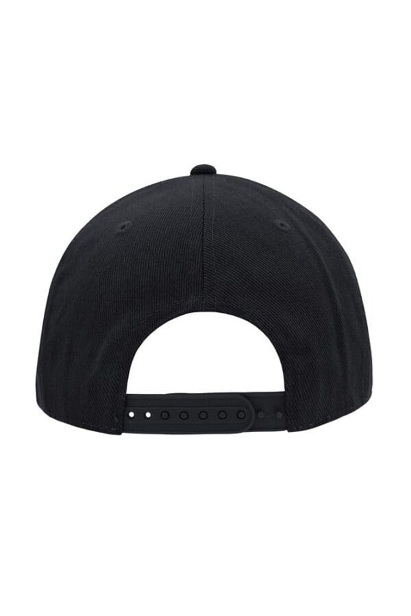 Cap 6 Panel Pro Style