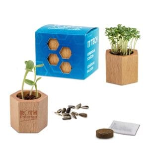 Pflanz-Holz Hexagon mit Samen