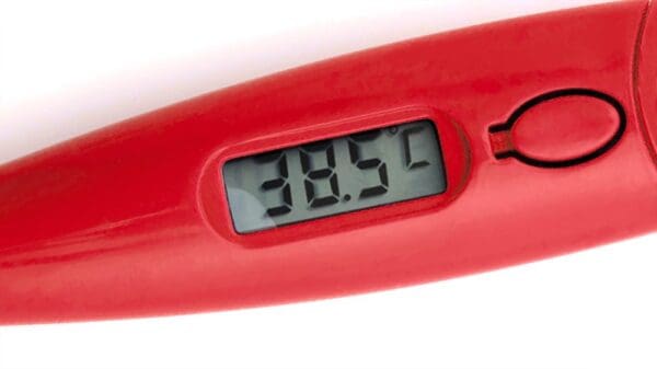 Digitales Thermometer Kelvin
