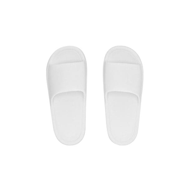 Flip Flop Ridel