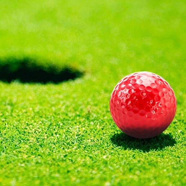 Golfball Nessa