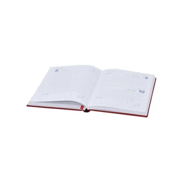 Tagebuch Canek
