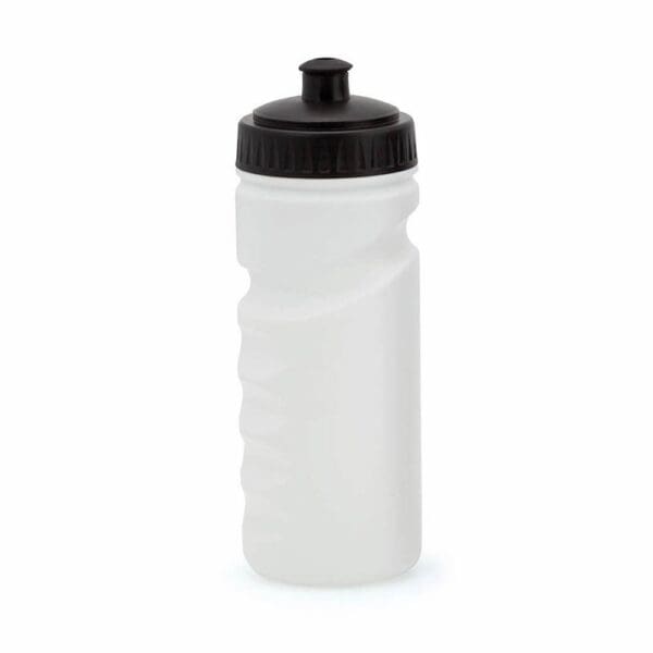 Trinkflasche Iskan