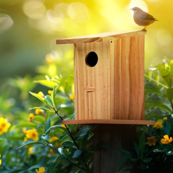 Bird House Retreat