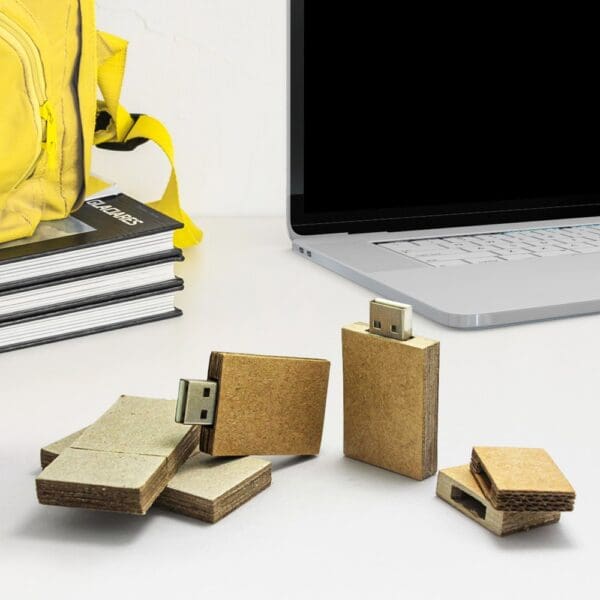 LeafLink USB Stick