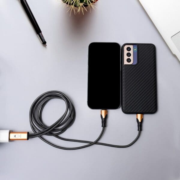 VoiceSync LED 2-in-1 Cable
