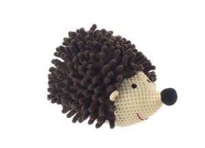 BADE-IGEL INGO