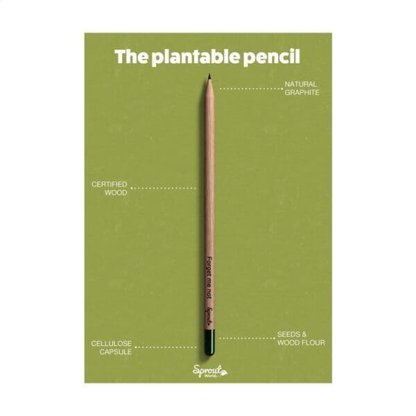 Bleistifte Sproutworld Sharpened Pencil angespitzt