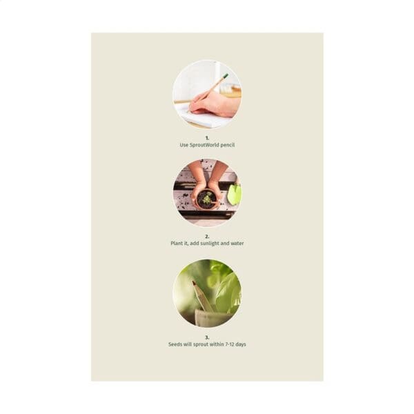 Sproutworld Unsharpened Pencil Bleisstift ungespitzt