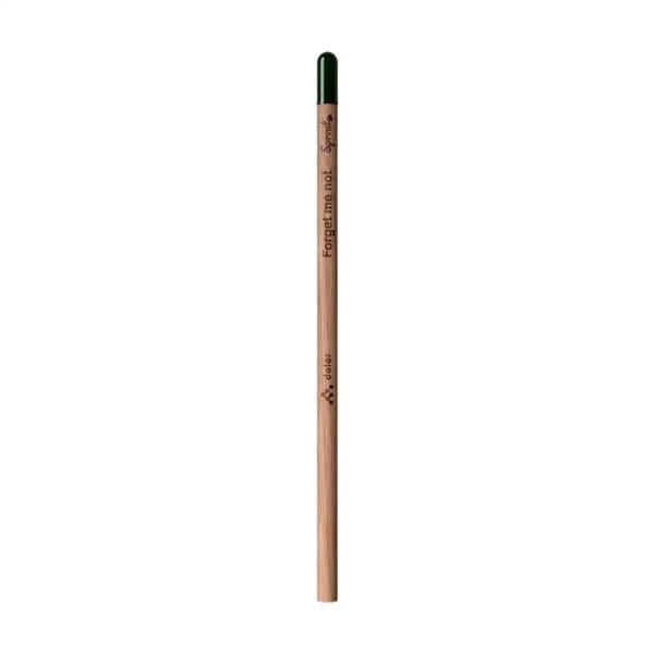 Sproutworld Unsharpened Pencil Bleisstift ungespitzt