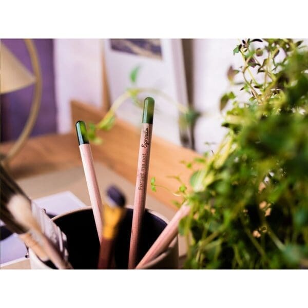 Sproutworld Unsharpened Pencil Bleisstift ungespitzt