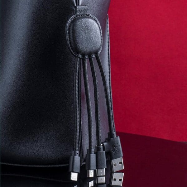 4000 | Xoopar Iné Smart Charging cable with NFC