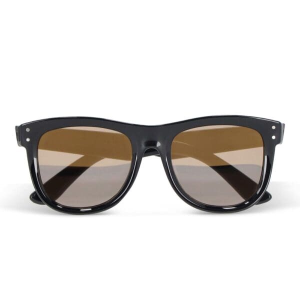 Dion R-PC Sonnenbrille UV400