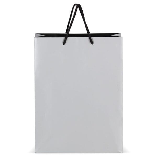 FSC Papier Geschenktasche 30 x 12 x 40cm 200g/m²
