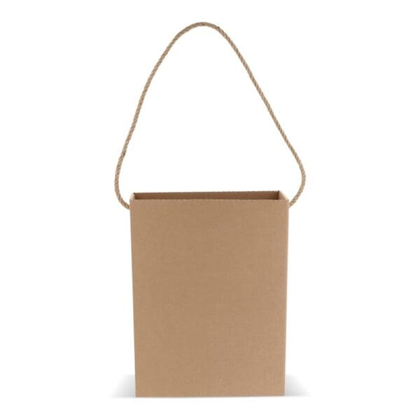 Kartontasche 24x8x32cm