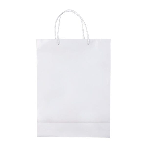 Laminierte Papiertasche, groß