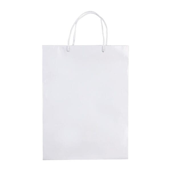Laminierte Papiertasche, groß